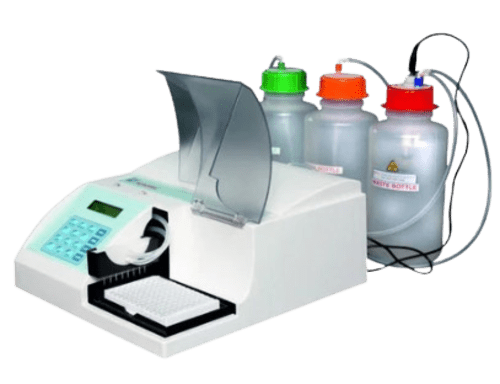 Elisa Washer